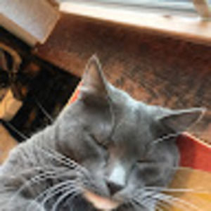 Meet your Posher, Zane